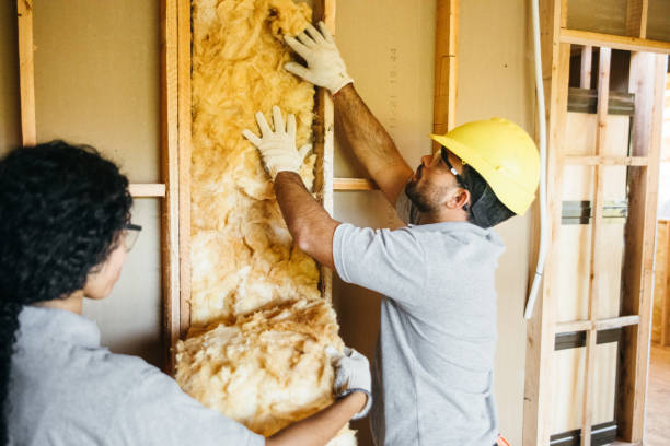 Insulation Repair Services in Los Lunas, NM