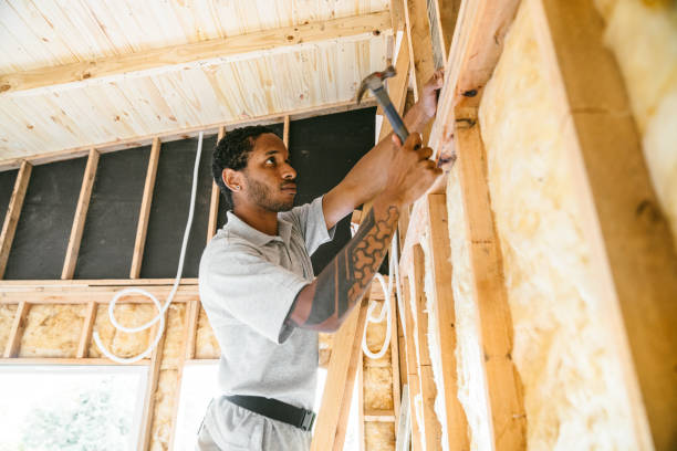 Best Insulation Contractors for Homes  in Los Lunas, NM