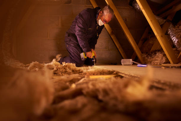 Best Garage Insulation Installation  in Los Lunas, NM